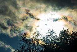 Pogoda długoterminowa na czerwiec 2020. Jaka pogoda będzie w czerwcu w Polsce?