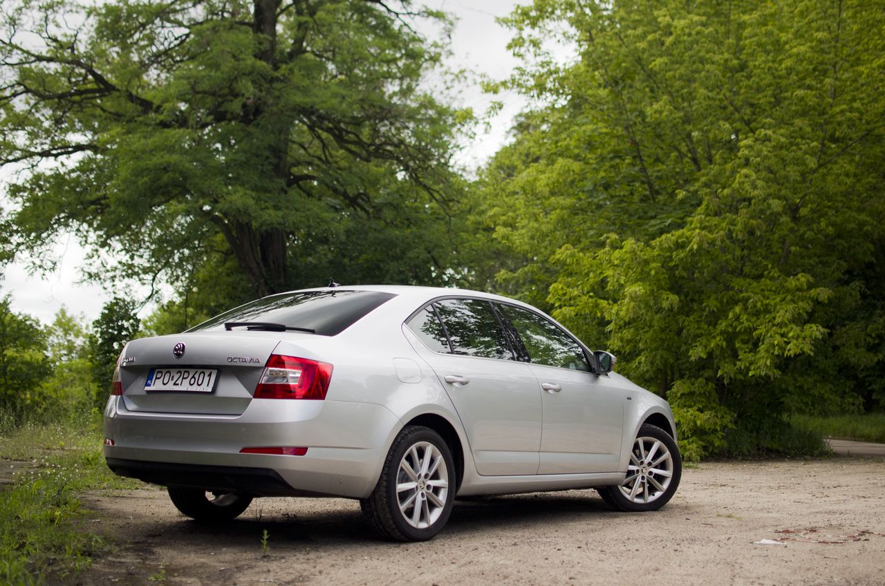 Škoda Octavia 1.2 TSI Joy – test [wideo]