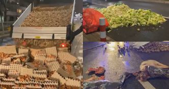 Martwa świnia i warzywa na ulicy. Rolnicy nie musieli marnować żywności