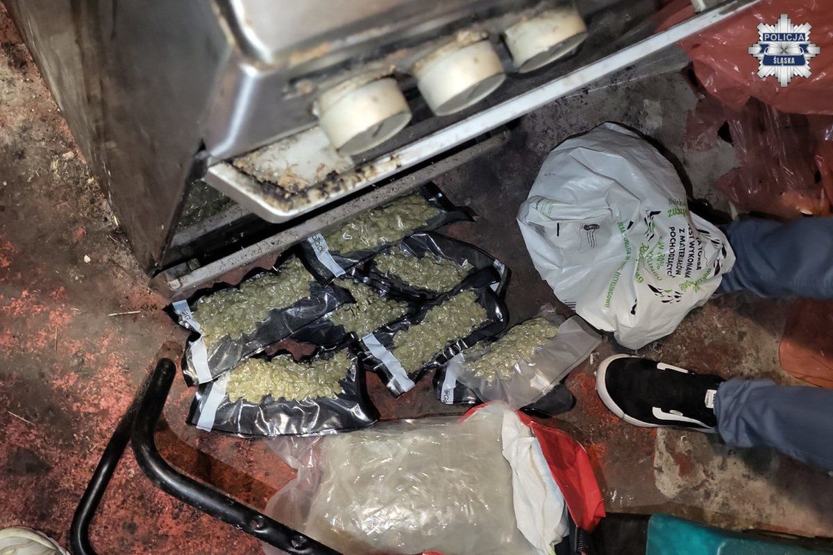 Śląska policja rozbiła gang przemytników marihuany. Narkotyki trafiały do Polski aż ze Stanów Zjednoczonych