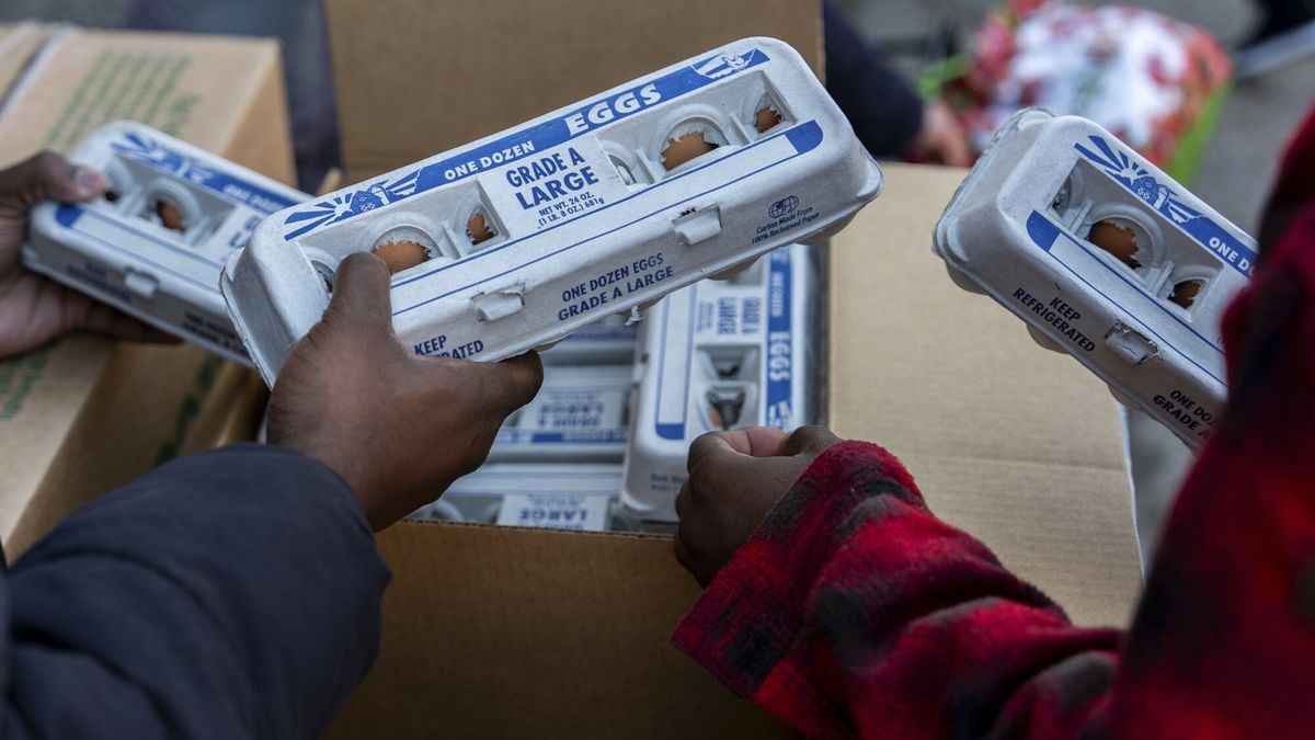 Temporary
Abou Sow hands out cartons of eggs to people waiting in line to receive free eggs from FarmerJawn Agriculture, Friday, March 21, 2025, in the Harlem neighborhood of New York. (AP Photo/Julia Demaree Nikhinson)
Julia Demaree Nikhinson