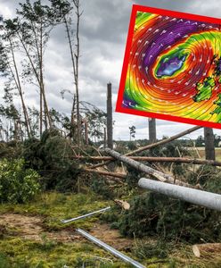 15 ostrzeżeń i 124 alerty. Dramatyczne skutki orkanu w Anglii
