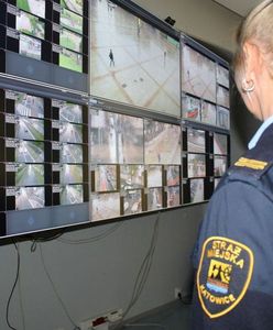 Katowice. Dla dobra lokalnej społeczności – praca szuka człowieka