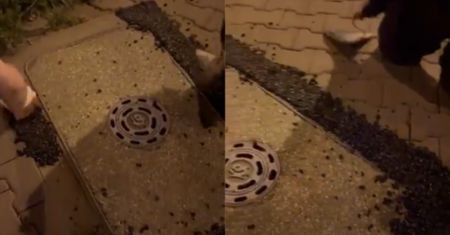 Wzięli sprawy w swoje ręce. W Krakowie ludzie sami naprawiają ścieżki rowerowe