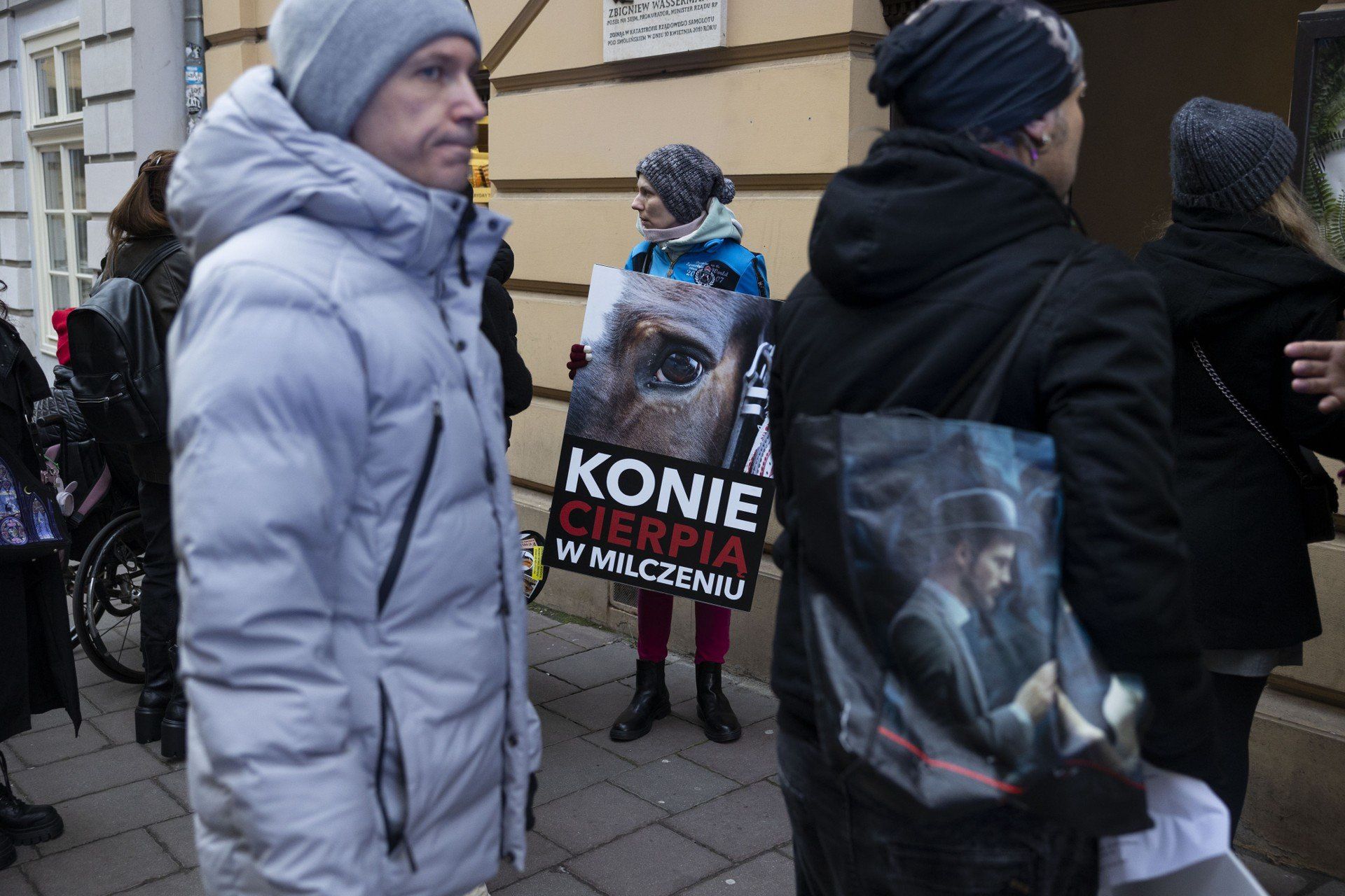 W Krakowie odbył się protest przeciwko dorożkom i wykorzystywaniu koni. 