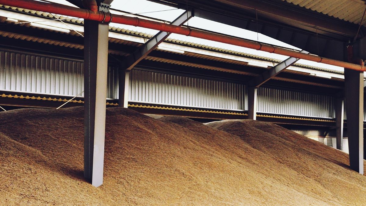 Służby biorą pod lupę import zboża z Ukrainy do Polski