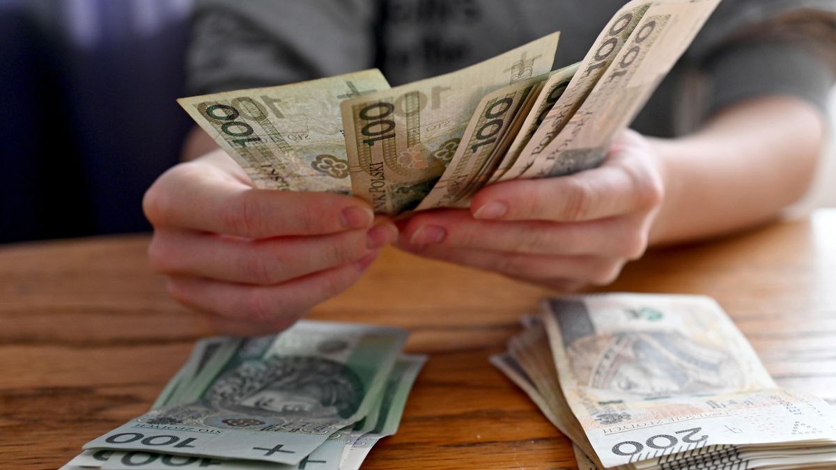 pieni�dze PLN
Szczecin, 09.09.2021. Banknoty, bilety Narodowego Banku Polskiego w nomina�ach 100 i 200 z�otowych trzymane w d�oniach, 9 bm. (ran) PAP/Marcin Bielecki
Marcin Bielecki
100 z�otych, 200 z�, 200 z�otych, banknoty, got�wka, kasa, pieni�dze, dlo�, d�onie, banknot�w, liczenie pieniedzy, z�ot�wki