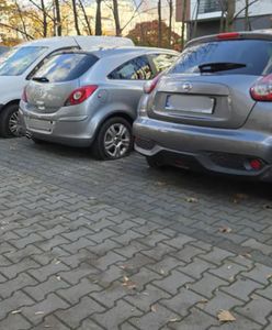 Zniszczyli prawie 90 aut. Wandalizm we Wrocławiu