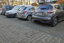 Zniszczyli prawie 90 aut. Wandalizm we Wrocławiu