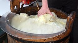 Superfood prosto z pól. Wymiata złogi z jelit, chroni przed infekcjami