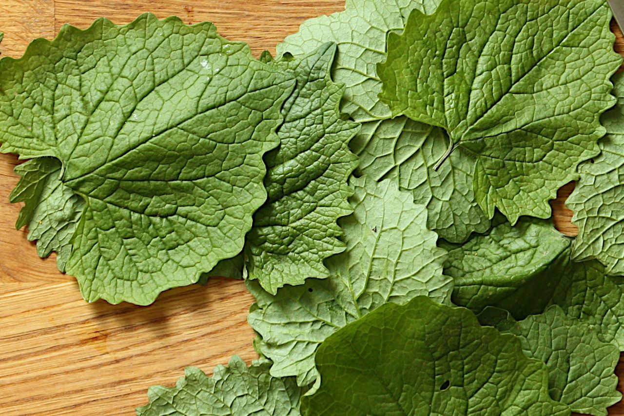 Nikt go nie zrywa, bo wszyscy myślą, że to chwast. Zdziwiliby się, jak wartościowym jest skarbem