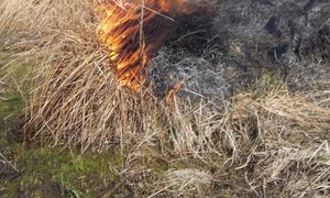 Właściciel posesji wypalał trawy. Policjanci nie mieli litości