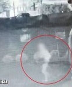 Lubuskie. Tajemnica kradzieży sprzętu ze szpitala rozwikłana