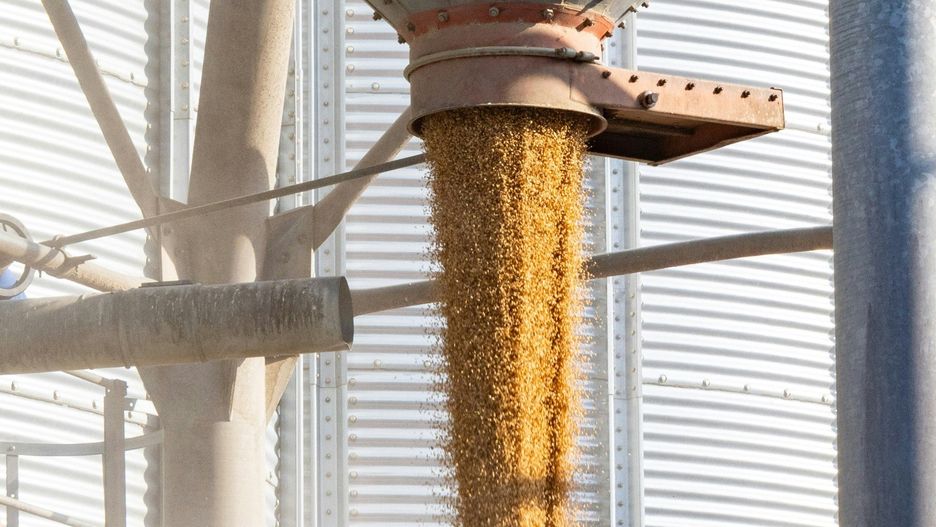 Kto nie potrzebuje pilnie gotówki, trzyma zboże w silosach