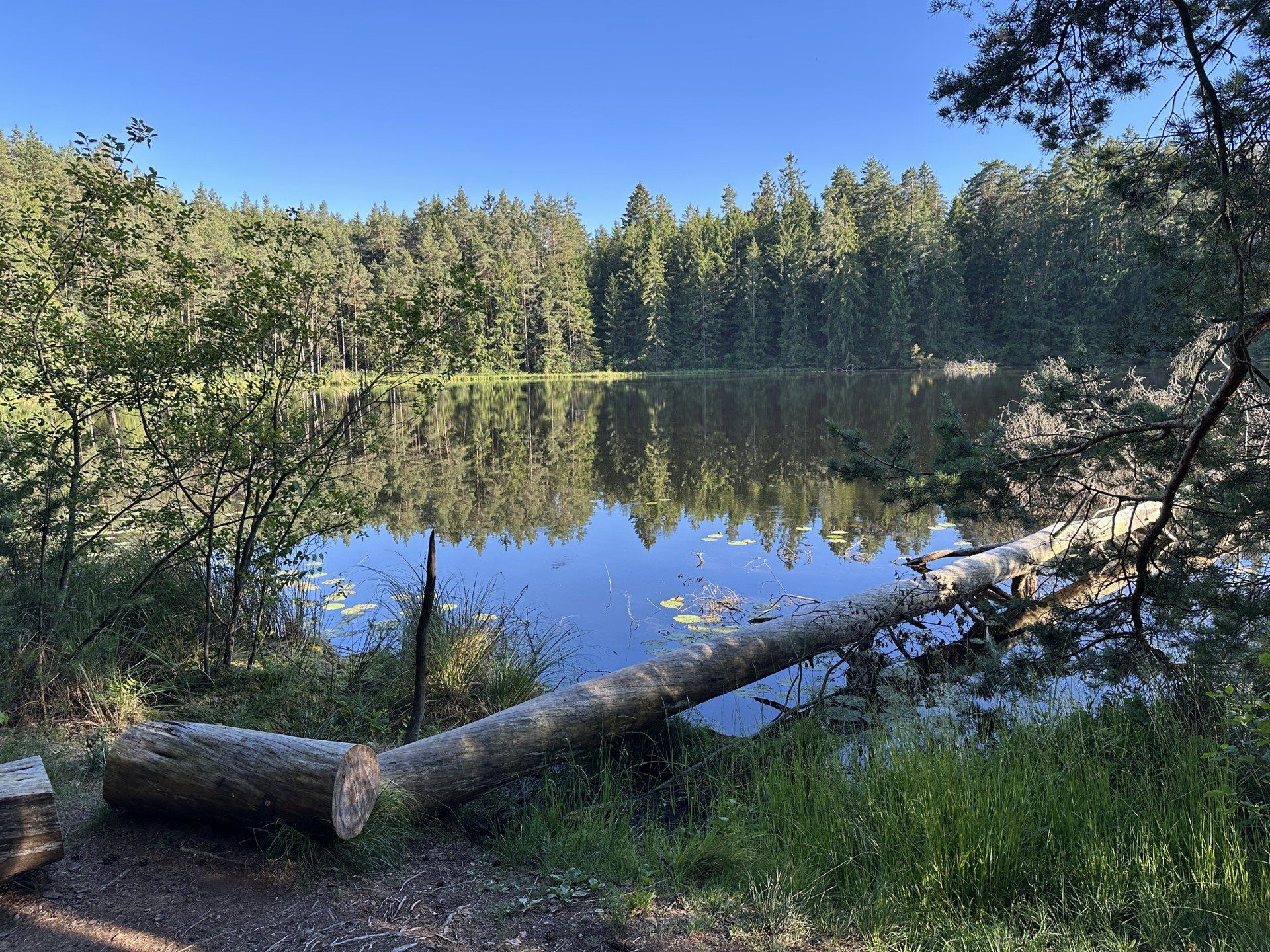 Wigierski Park Narodowy - ścieżka Las i Suchary