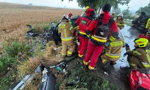 Sześć osób rannych, w tym dwoje dzieci. Wypadek w Piotrowicach Małych