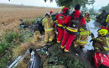 Sześć osób rannych, w tym dwoje dzieci. Wypadek w Piotrowicach Małych