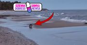 Nagle wpadła na plażę. "Niespotykane". Już 700 tys. wyświetleń