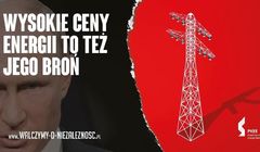 Kampania z Putinem z czasów rządów PiS w prokuraturze. Podejrzenie szkód na 12 mln zł