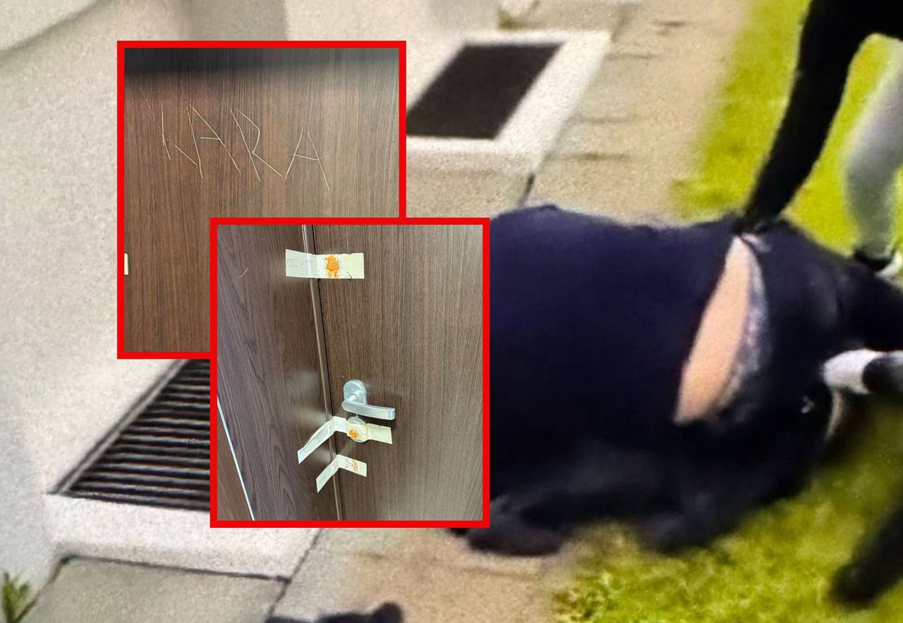 Morderca z UW mieszkał w Warszawie. Szokujące napisy na drzwiach