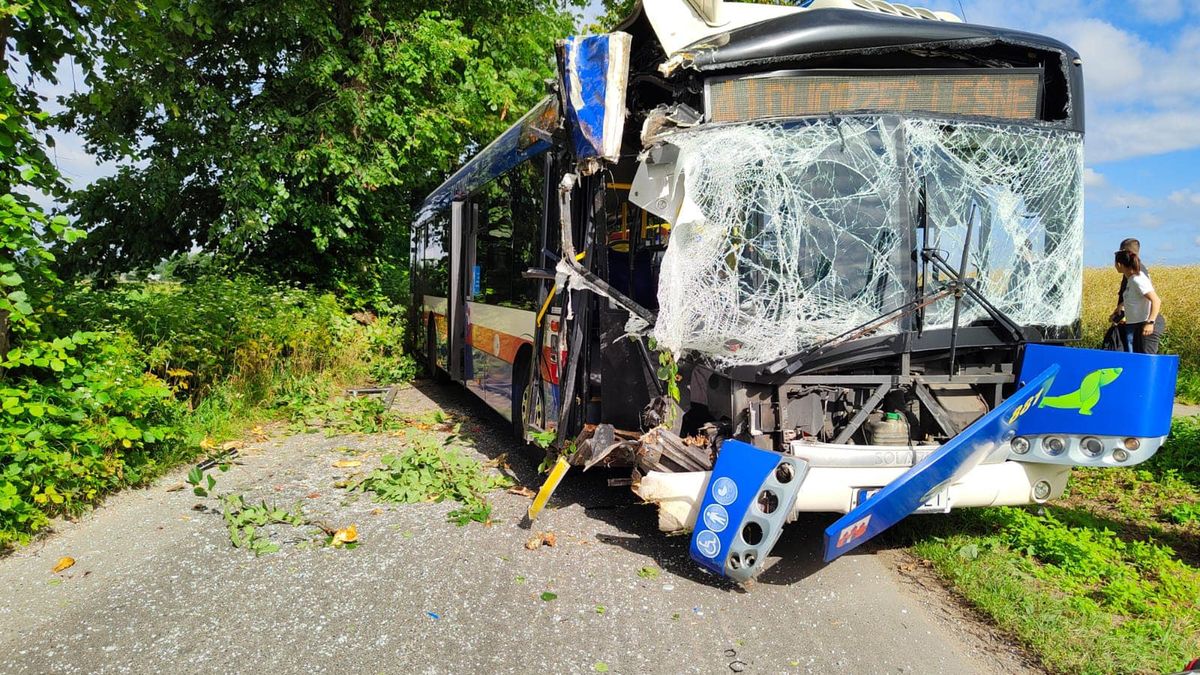 Autobus wjechał w drzewo. Pierwsze ustalenia wskazują, że kierowcę oślepiło słońce
