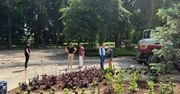 Pałacowy park w rozkwicie!