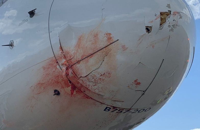 Krew spływała z dziobu samolotu. Pasażerowie byli przerażeni