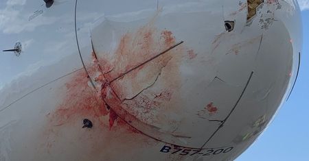 Krew spływała z dziobu samolotu. Pasażerowie byli przerażeni