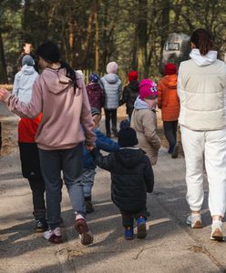 800+ dla Ukraińców. Wyniki sondażu są jednoznaczne