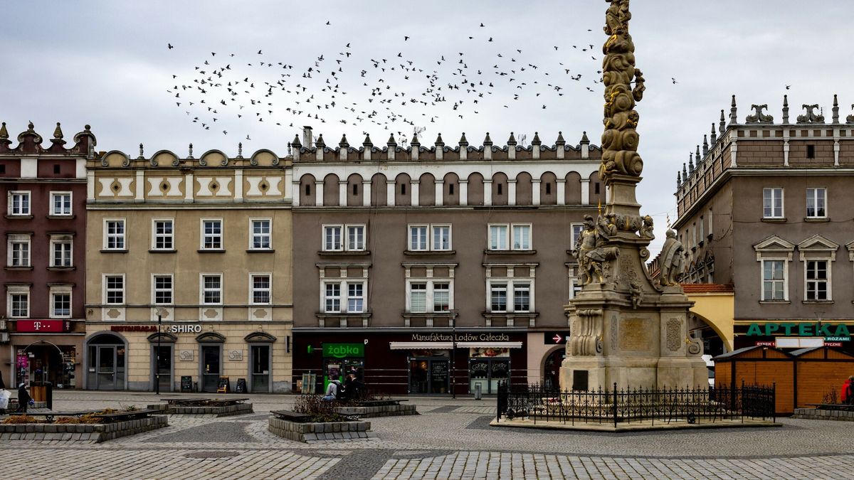 Będą zwolnienia w SGL Solutions w Raciborzu