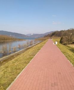 Żywiec. Miasto dostało dotację, będzie ścieżka rowerowa