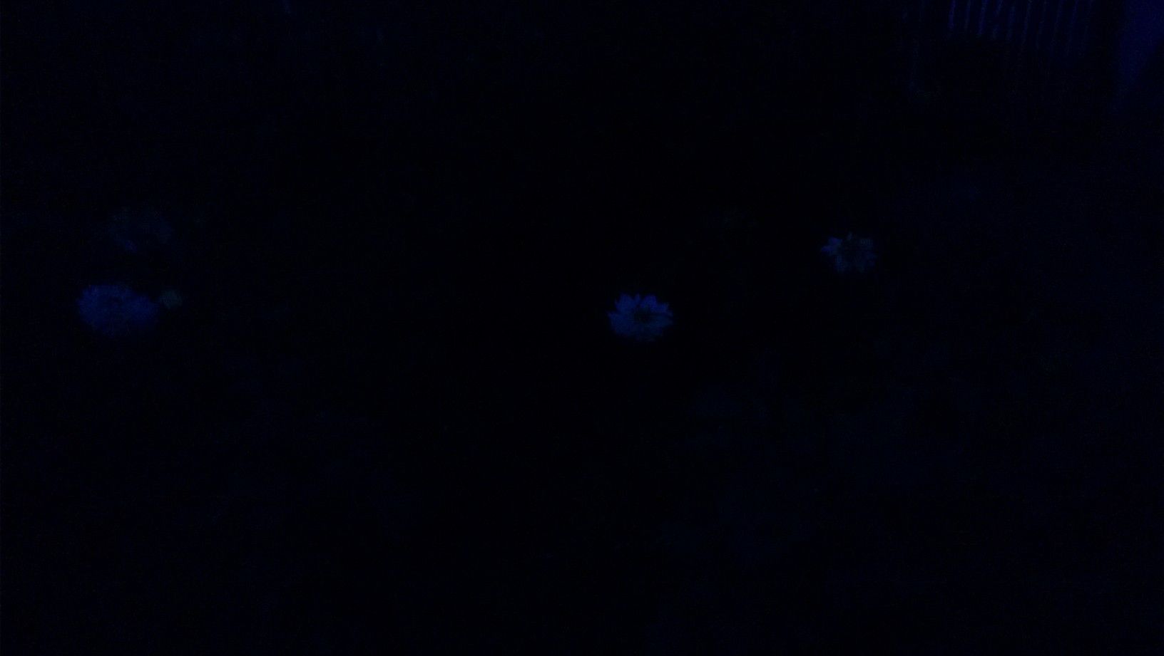 Nokia Lumia 720 lepszym wyborem od Lumii 820? [test] 6