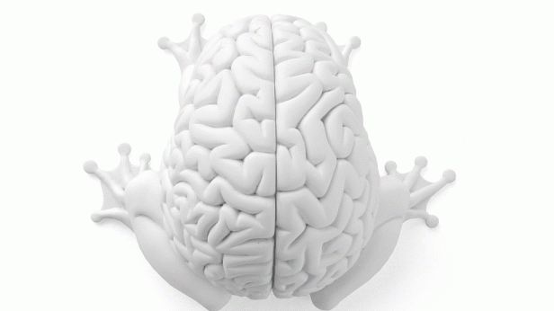 6 niesamowitych usterek ludzkiego mózgu 1