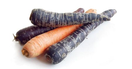Czarna marchew - co to jest, składniki, właściwości zdrowotne, gdzie kupić, cena, przepis