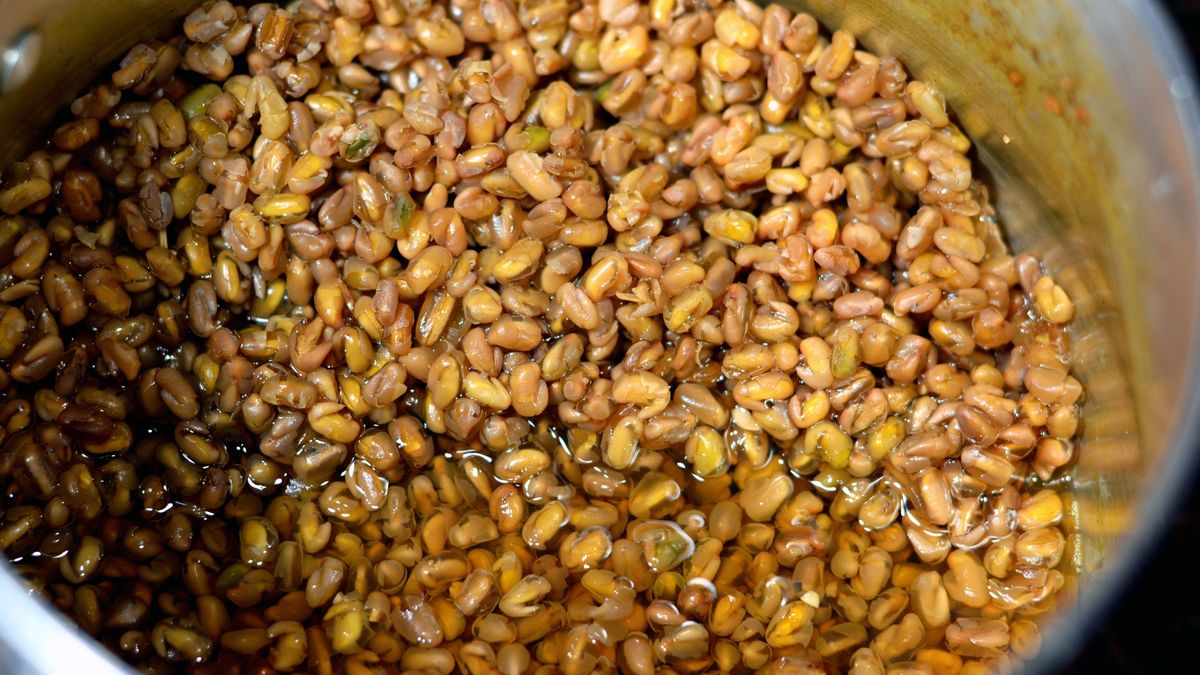 boiled fenugreek seeds in water that is believed to have great medicinal benefits in traditional and alternative medicine, used as a herb and spices, Methi Dana drink
Selective focus of boiled fenugreek seeds in water that is believed to have great medicinal benefits in traditional and alternative medicine, used as a herb and spices, Methi Dana drink
Tamer Soliman
alternative, background, beverage, diet, dietary, egyptian, extract, health, healthy, helba, herbal, herbs, homeopathic, hot, indian, medicinal, medicinal plants, natural, nutrition, raw, remedy, seeds, shambala, spices, supplement, tea, treatment, trigonella