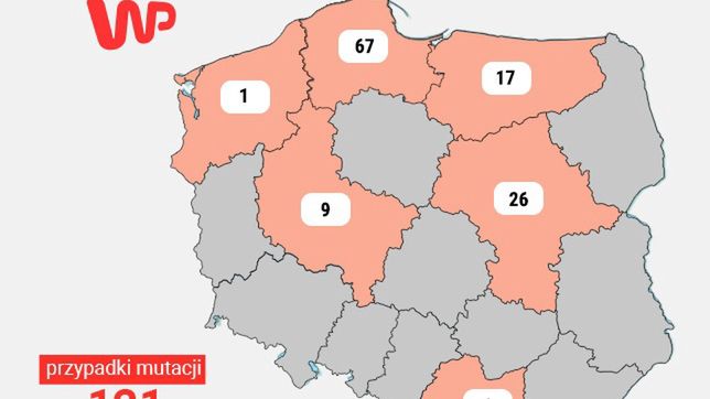 Koronawirus w Polsce. Epidemia przyspiesza. To efekt brytyjskiej mutacji?