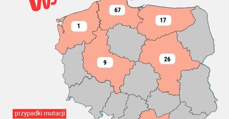 Koronawirus w Polsce. Epidemia przyspiesza. To efekt brytyjskiej mutacji?