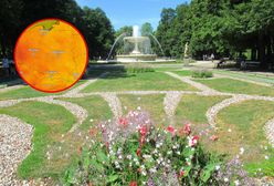 Prognoza na weekend. W tych rejonach nawet 28 stopni