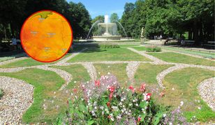 Prognoza na weekend. W tych rejonach nawet 28 stopni