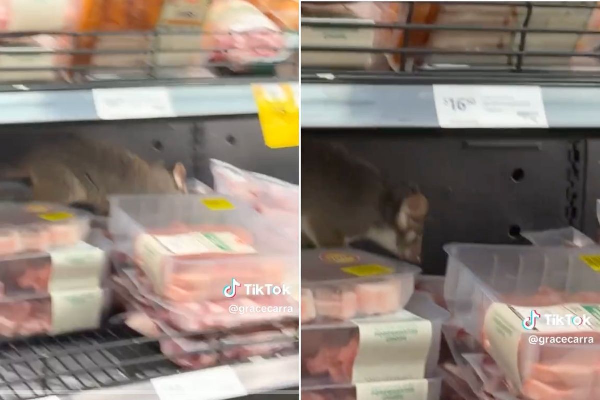Grasował na mięsie w supermarkecie. Teraz jest hitem TikToka