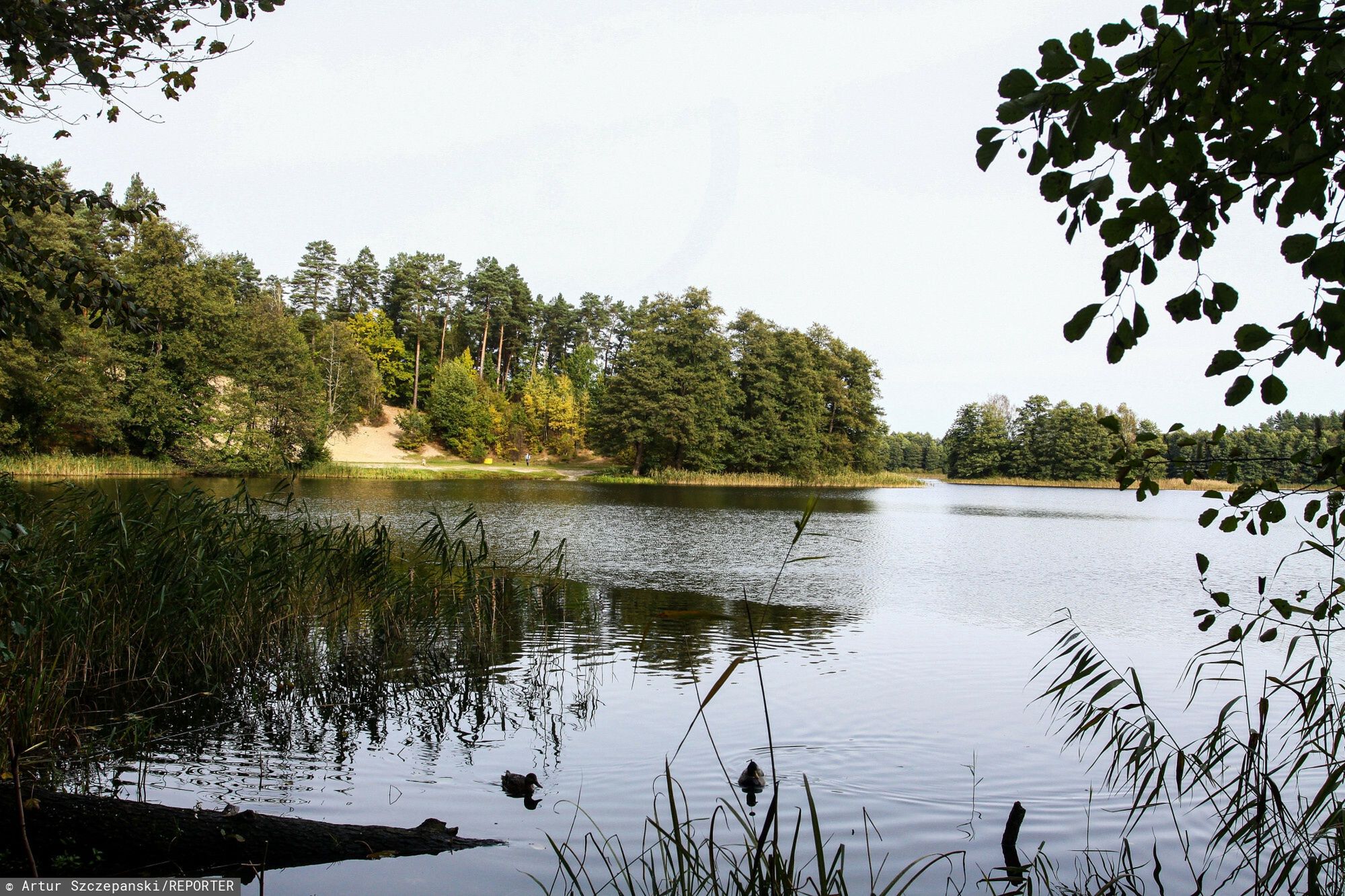 jezioro