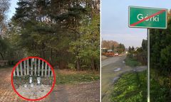 4-latek zakopany w lesie. Kolejne fakty wychodzą na jaw. Chodzi o jego rodziców