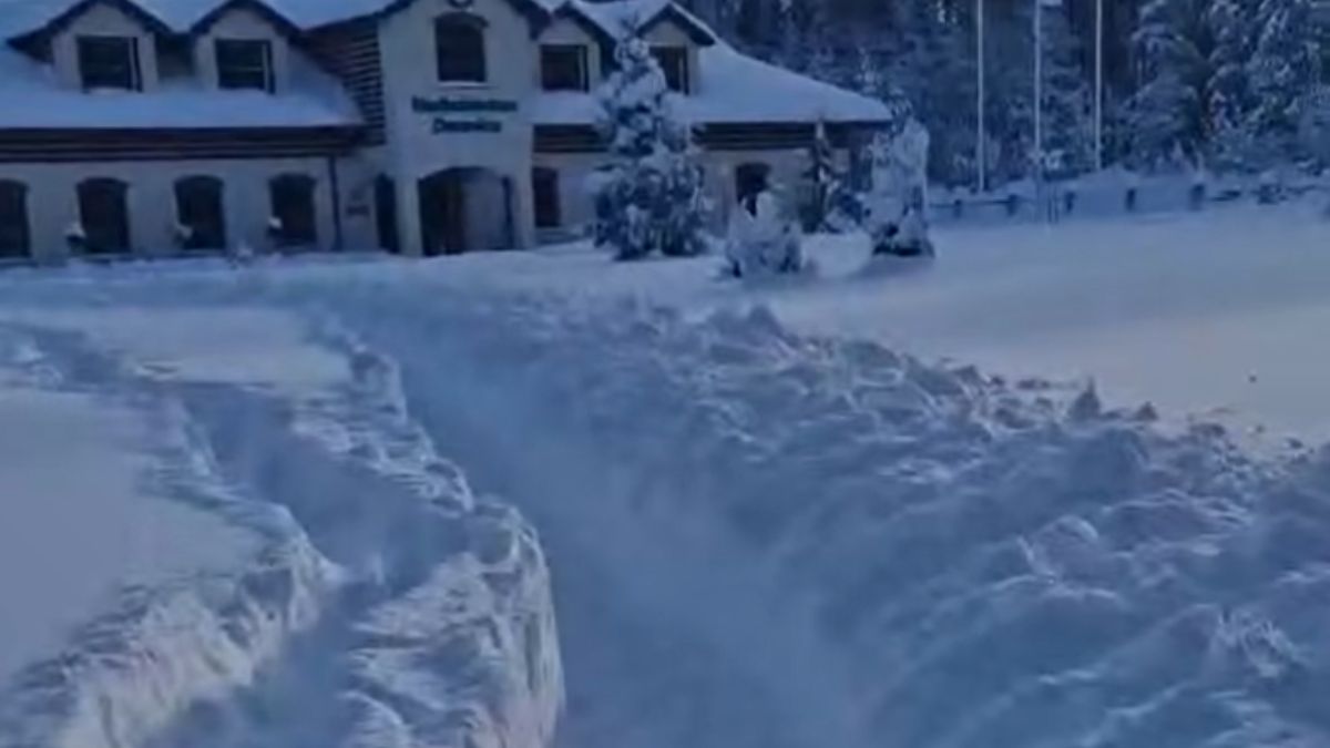 Nadleśnictwo Damnica pokazało drogę do pracy.