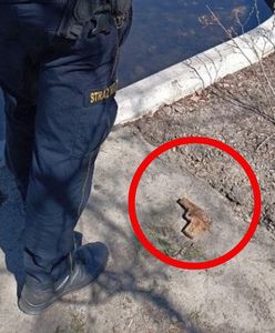 Niezwykłe odkrycie na Polu Mokotowskim w Warszawie. Wezwano policję