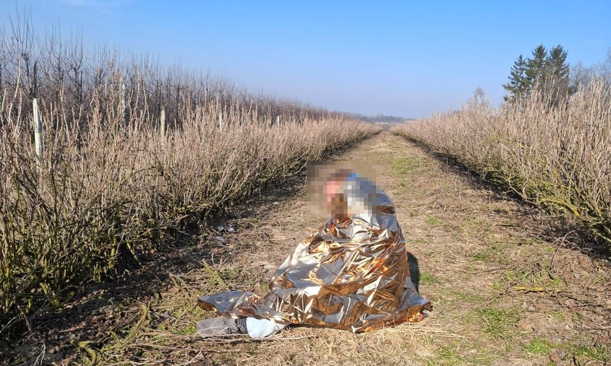 Wychłodzony 49-latek leżał między krzakami aronii. Trafił do szpitala w Kraśniku
