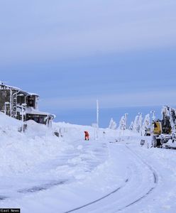 Paraliż za Odrą. Zima pokonała Niemców