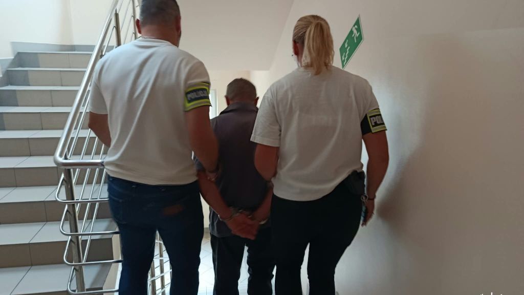 policja