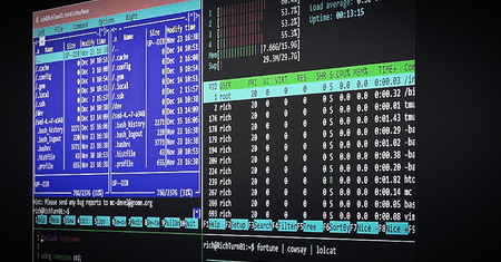 Windows 10 coraz bardziej dogadza Pingwinowi. Wkracza wsparcie aplikacji Linux GUI