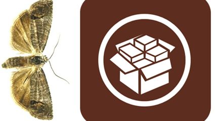 Dlaczego Cydia nazywa się akurat Cydia? 1