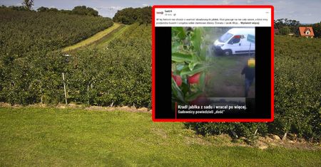 Wchodził do sadu i zabierał jabłka. Wszystko nagrał monitoring.